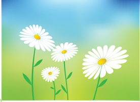 eliminare-le-zanzare-insetticida-naturale-per-giardino-e-casa-nebulizzatore-insetticida-piretro