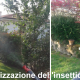 Soluzione per eliminare le zanzare